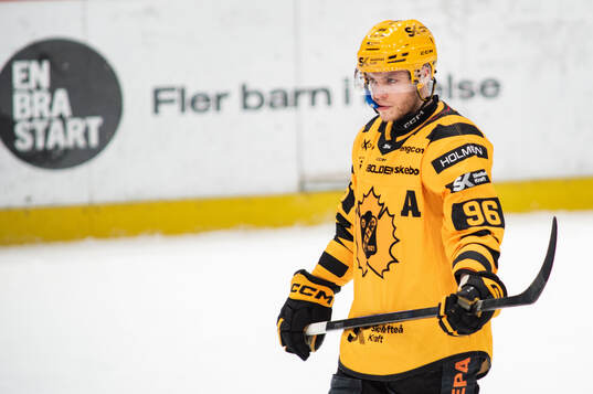 Skellefteås Rickard Hugg