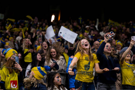 Young supporters of Sweden celebrate