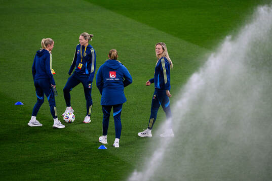 Goalkeeper Jennifer Falk and Amanda Ilestedt of Sweden
