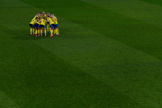 Players of Sweden gathered