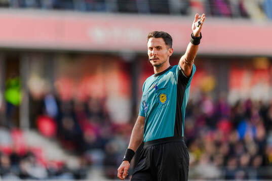 Domare Adi Aganovic