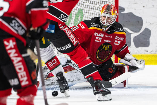 Luleås målvakt Matteus Ward