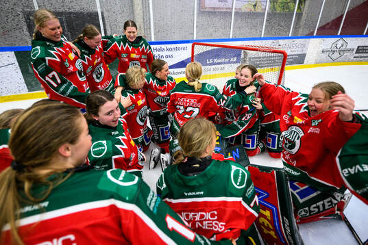 Frölundas spelare jublar