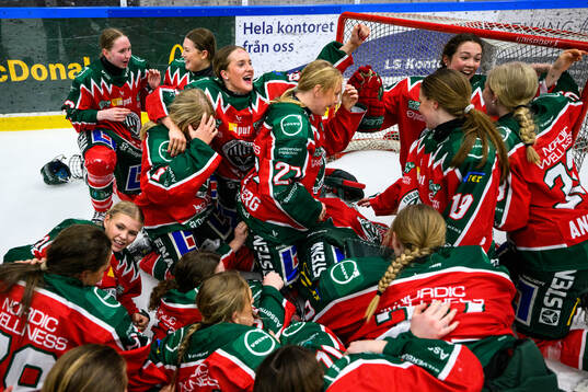 Frölundas spelare jublar