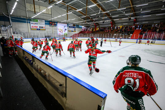 Frölundas spelare jublar