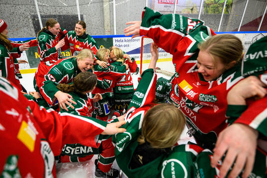 Frölundas spelare jublar