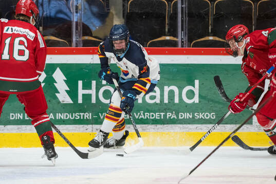 Djurgårdens Melvin Norman