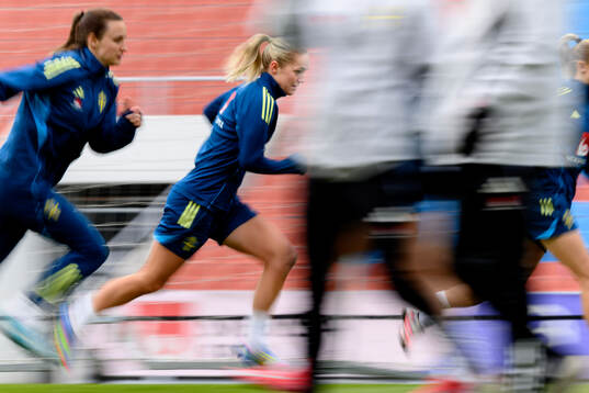 Hanna Lundkvist