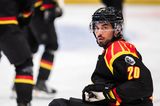 Brynäs Tyler Vesel