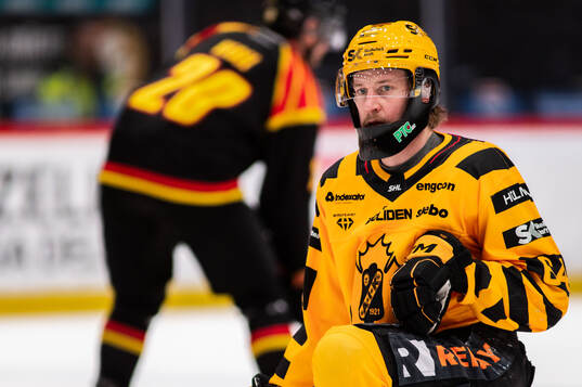 Skellefteås Jonathan Pudas