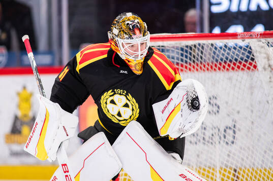 Brynäs målvakt Erik Källgren