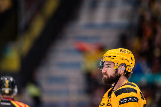Skellefteås Luke Witkowski