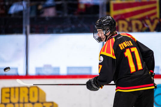 Brynäs Michal Svrcek