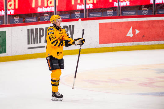 Skellefteås Pontus Johansson  deppar