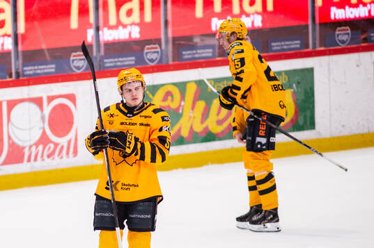 Skellefteås Axel Sandin Pellikka deppar