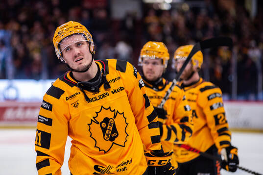 Skellefteås Max Lindholm deppar