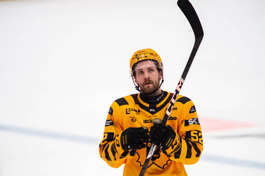 Skellefteås Arvid Lundberg deppar