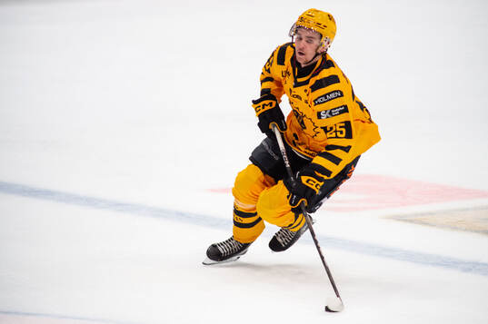 Skellefteås Pontus Johansson