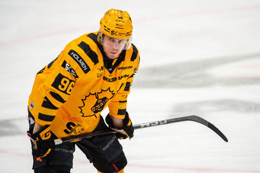 Skellefteås Rickard Hugg