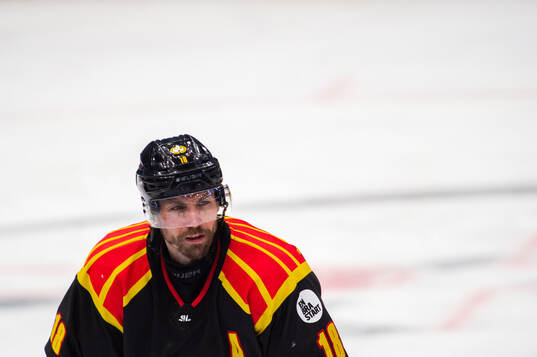 Brynäs Anton Rödin