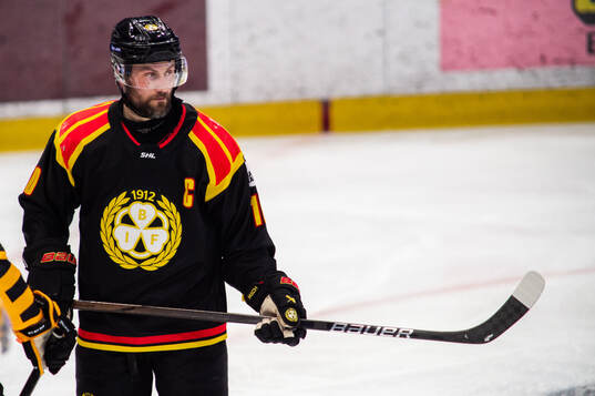 Brynäs Johan Larsson