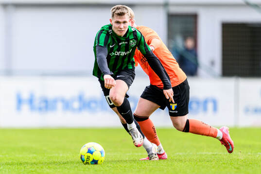 Högaborgs Albin Branting