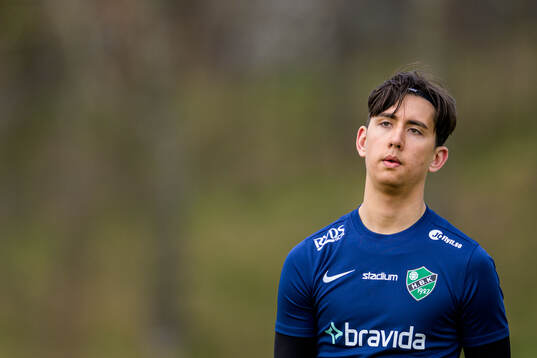 Högaborgs målvakt Benjamin Olsson deppar