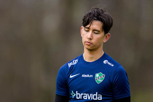 Högaborgs målvakt Benjamin Olsson deppar