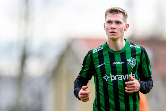 Högaborgs Albin Branting