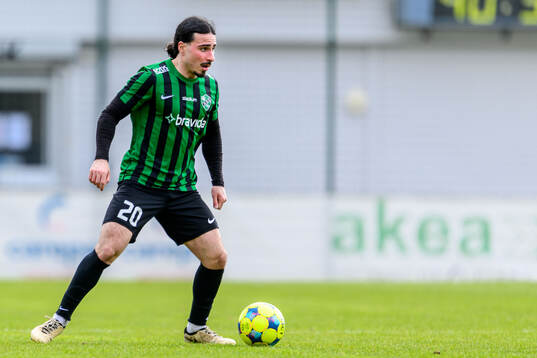 Högaborgs Berkman Micoogullari
