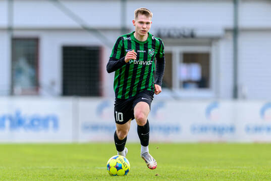 Högaborgs Albin Branting