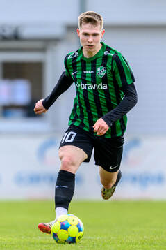 Högaborgs Albin Branting