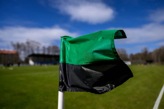 En grön och svart hörnflagga