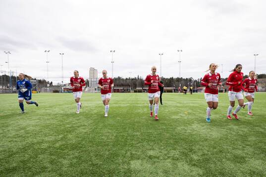 Degerfors IFs spelare