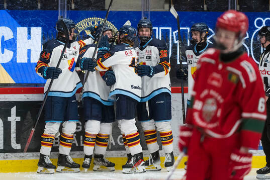 Djurgårdens spelare jublar