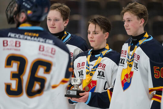 Djurgårdens spelare