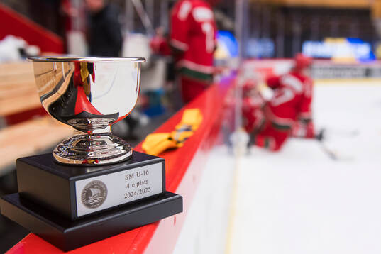 Modos pokal och medalj