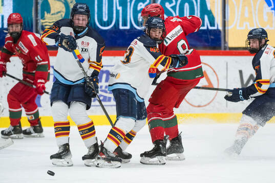 Djurgårdens William Hedlund
