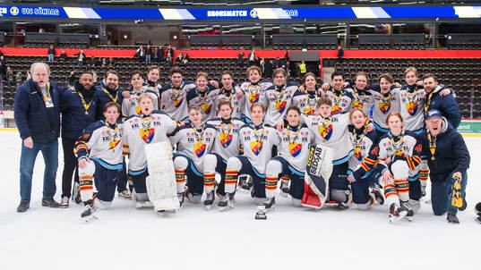 Djurgårdens spelare jublar