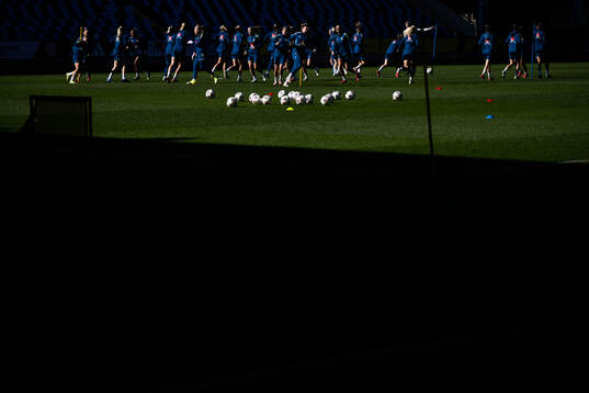 Players of the Swedish women's national football team