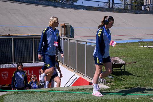 Players of Sweden