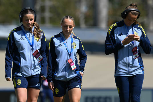 Players of Sweden