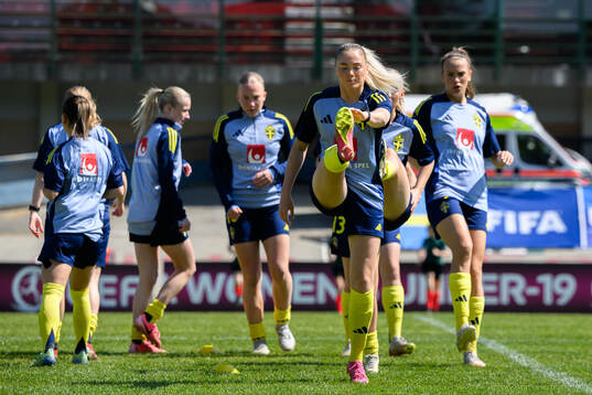 Players of Sweden