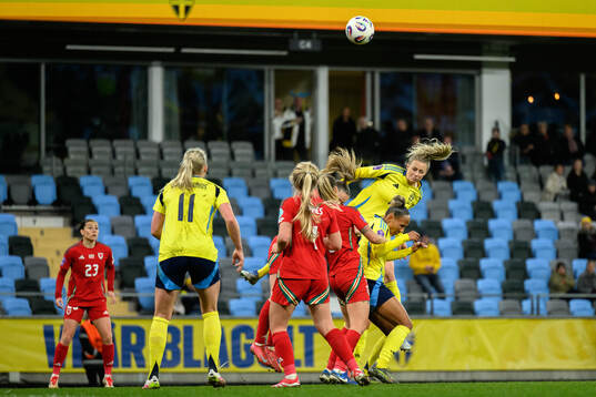 Amanda Ilestedt of Sweden