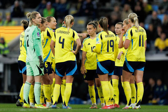 Players of Sweden