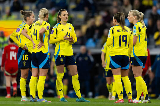 Players of Sweden