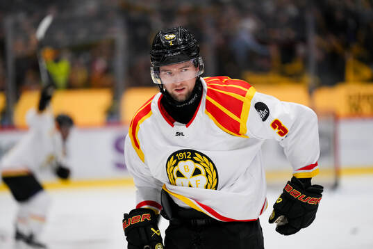 Brynäs Christian Djoos