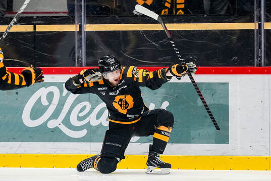 Skellefteås Jonathan Davidsson jublar