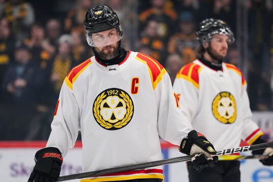 Brynäs Johan Larsson