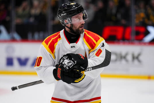 Brynäs Johan Larsson